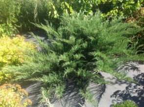 image (3)28